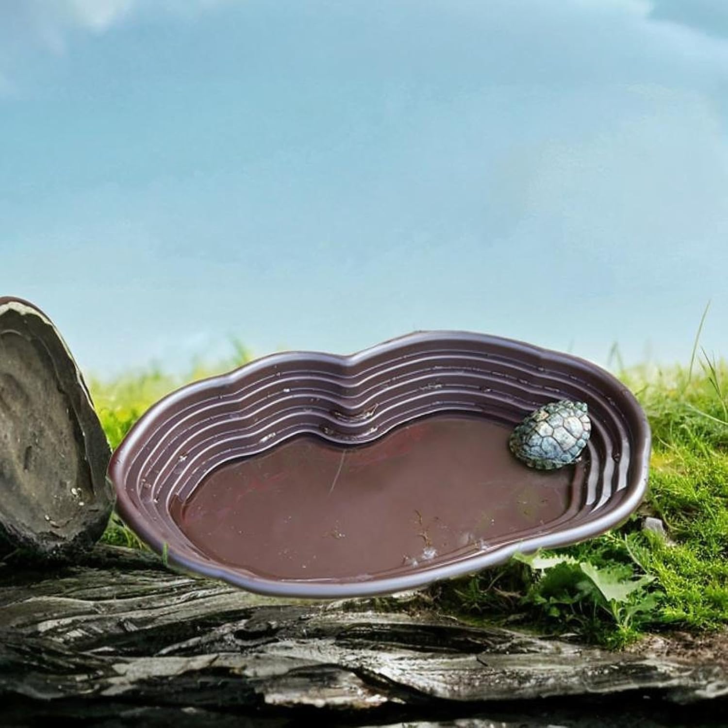Zxyler 亀の水槽 M グレー：蓋付き プラスチック飼育ケース